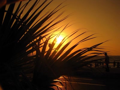 Résultat de recherche: Coucher de soleil 11908 2