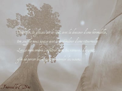 Résultat de recherche: Ombrelle