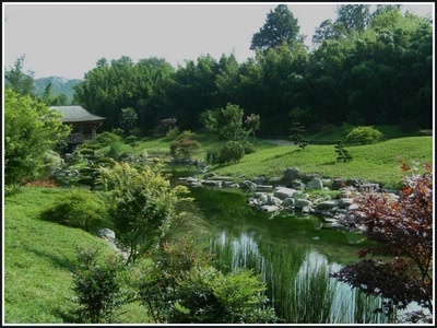 Résultat de recherche: Anduze (30)- La bambouseraie