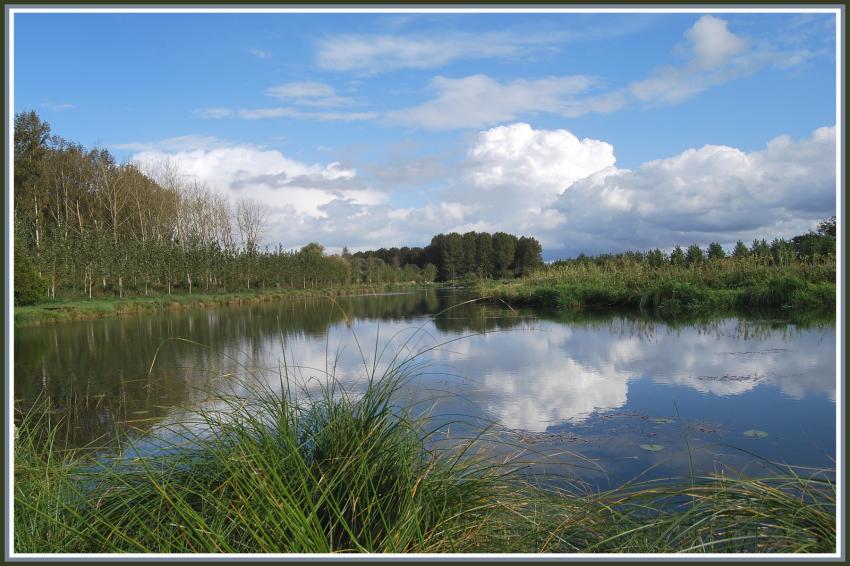 Etang de Clastres (02)