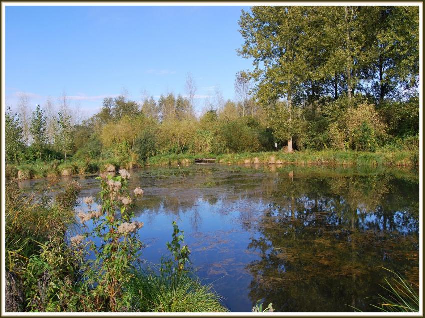 Etang de Clastres (02)
