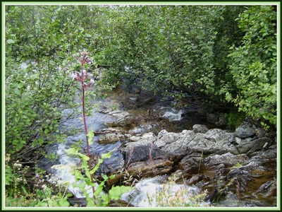 Résultat de recherche: Randonnée en Belledonne