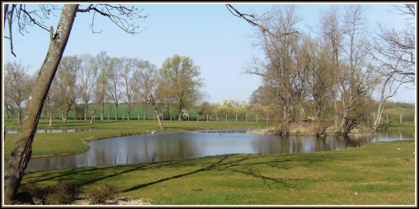 Etang le long de la Somme