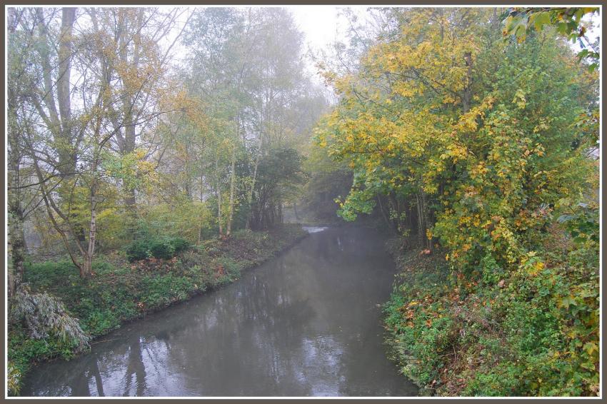 Bras de la Somme à Seraucourt-le-Grand (02)