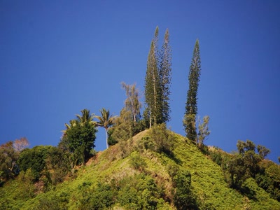 Résultat de recherche: colline