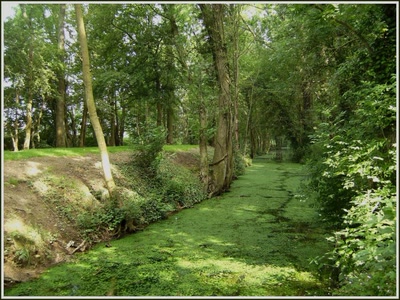 Résultat de recherche: Les sources de l'Escaut