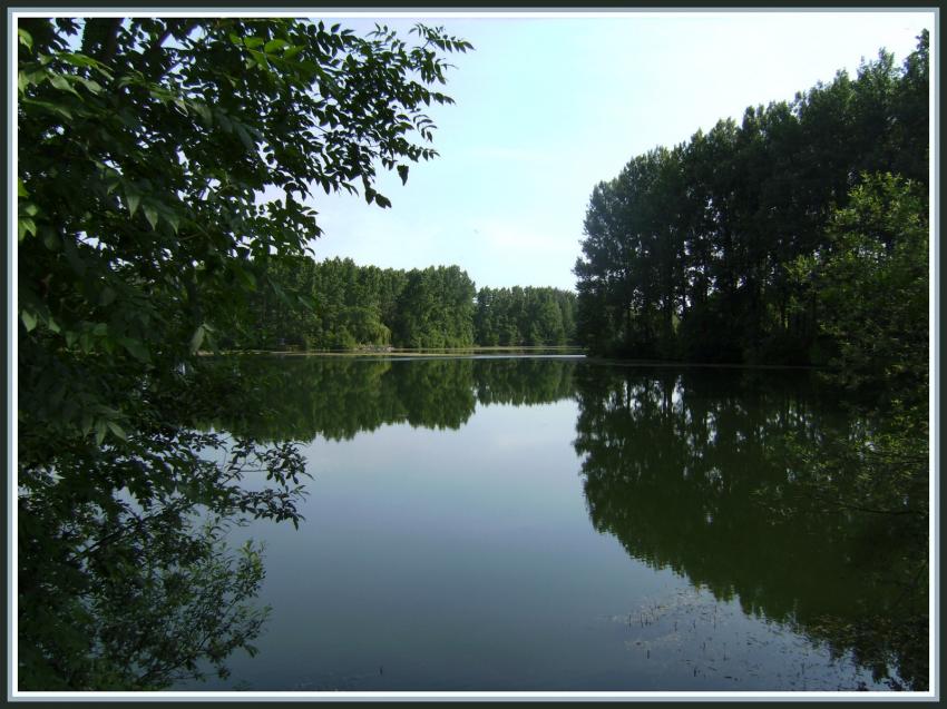 Etang de Vendeuil (02)