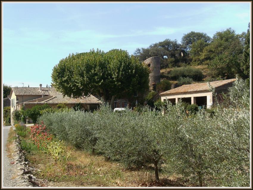 Lourmarin (84) - Mas des oliviers