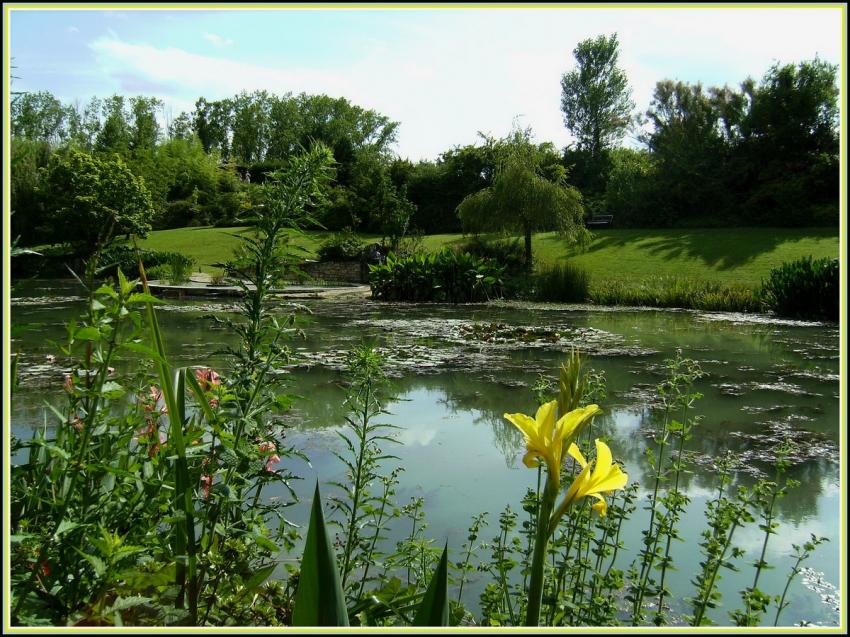 Le Temple sur Lot (47) - Marécages