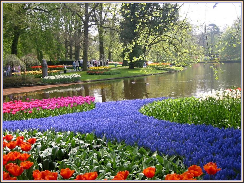 Parc à Keukhenoff (Hollande)