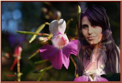 Œuvre de Pgarnier: La femme et la fleur