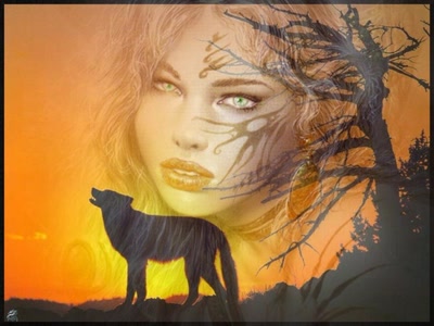 Résultat de recherche: Loup