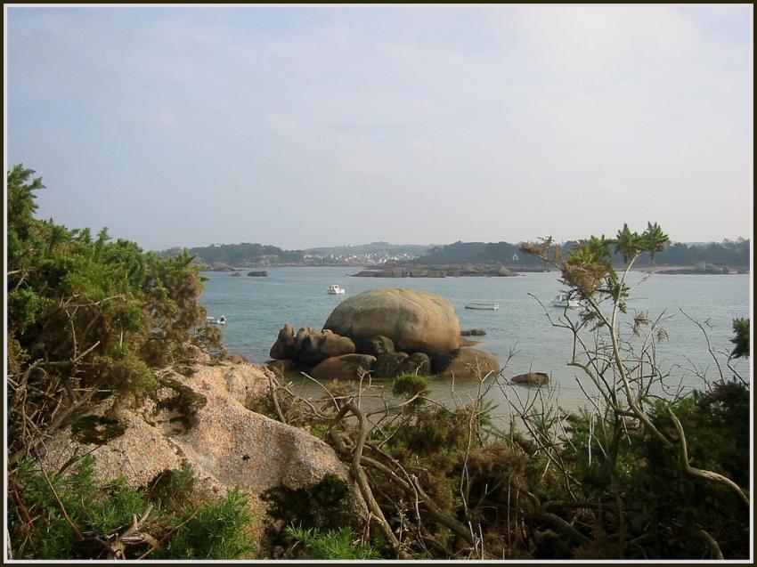 Trégastel (22)