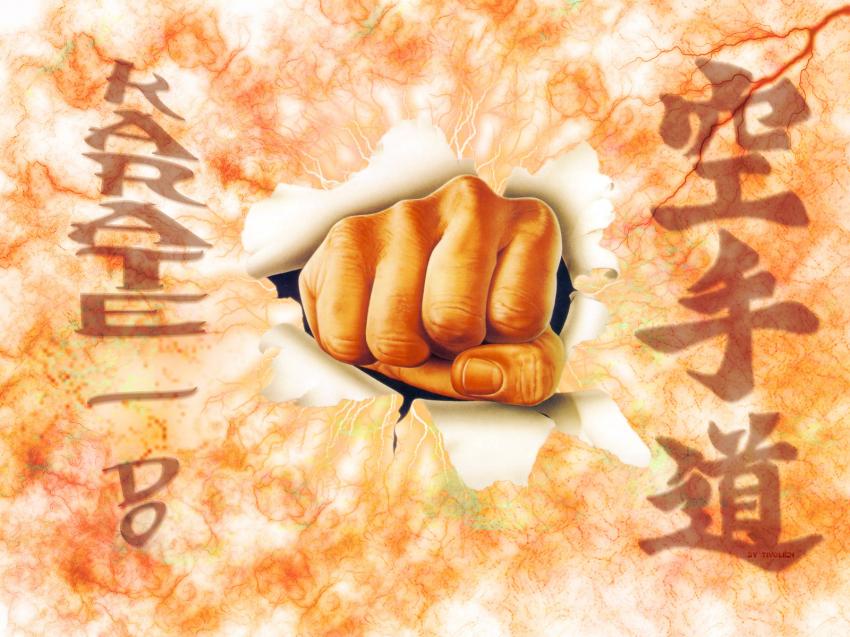 Wall-karaté Do_1600-1200