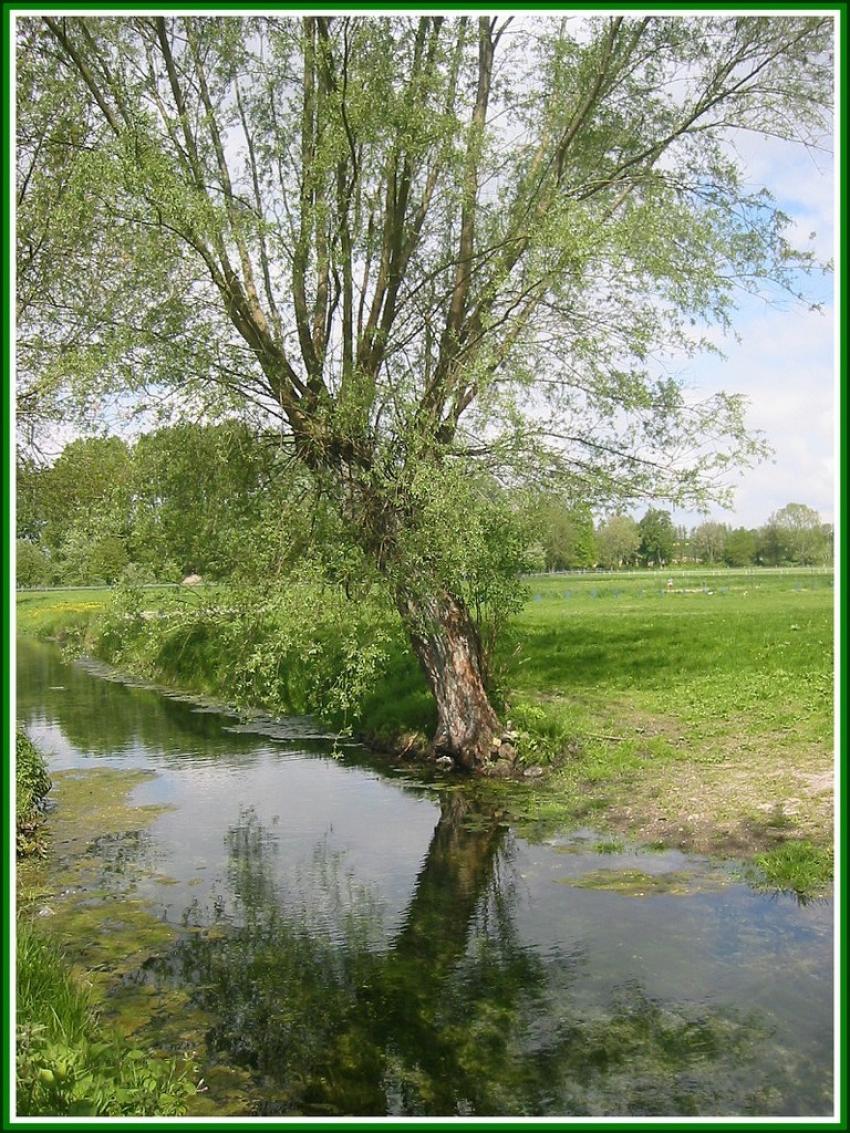 La Somme en Picardie.
