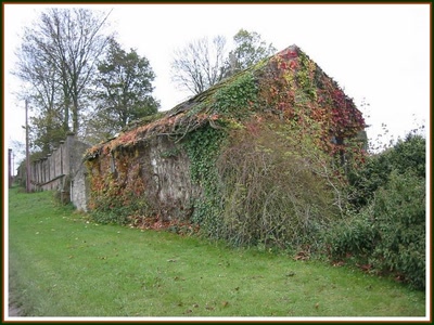 Résultat de recherche: Vieille bicoque et vigne vierge.