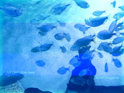 Résultat de recherche: Under the Sea