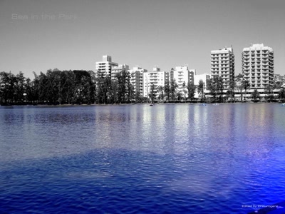 Résultat de recherche: Sea in the Park