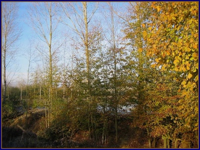 Résultat de recherche: Dernières couleurs de l'automne