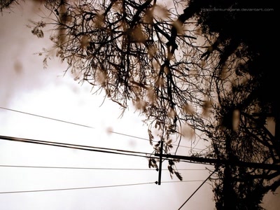 Résultat de recherche: The Last Photo