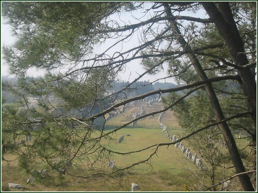 Alignements de Carnac (56)