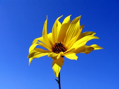 Œuvre de nonoche: waouh...