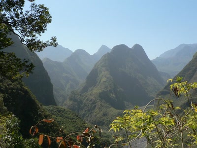Œuvre de miette: La réunion