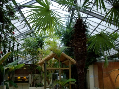 Œuvre de Walkyrie: Grande serre