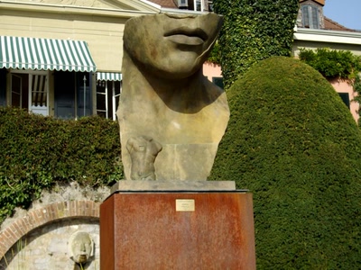 Œuvre de Walkyrie: Visage géant