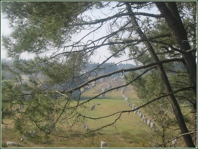 Résultat de recherche: Alignements de Carnac (56)