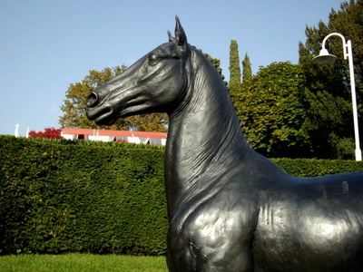 Résultat de recherche: Jappeloup en portrait