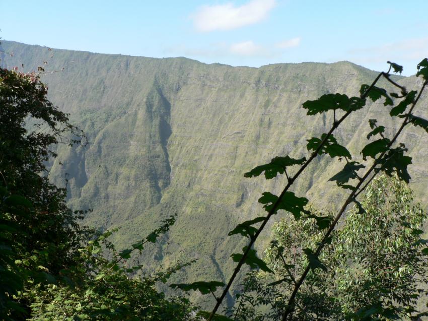 La réunion