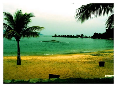 Résultat de recherche: Amazing Beach