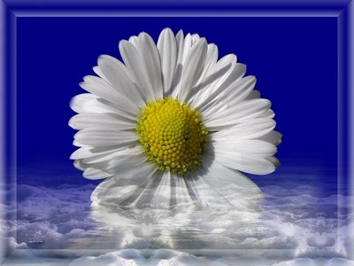 Résultat de recherche: Paquarette 71108