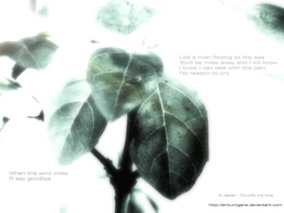 Résultat de recherche: When the wind cries - X Japan