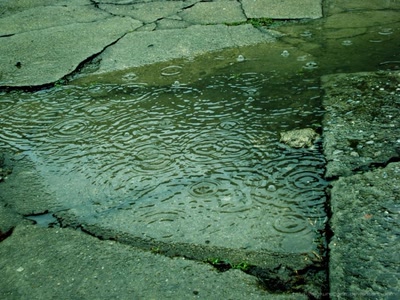 Résultat de recherche: Nature