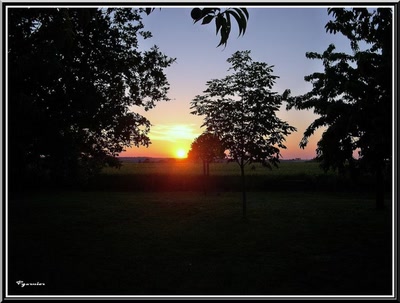 Résultat de recherche: Coucher de soleil