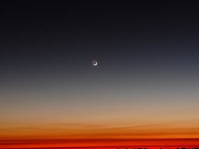 Œuvre de miette: La réunion