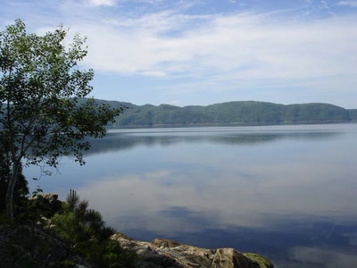 Œuvre de miette: j'adore ces moments paisible près de l'eau
