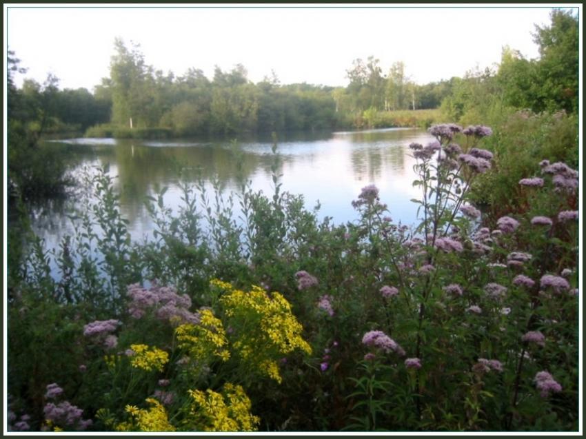 Marais d'Isle à St-Quentin (02)