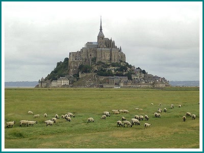 Résultat de recherche: Mont Saint-Michel et les moutons