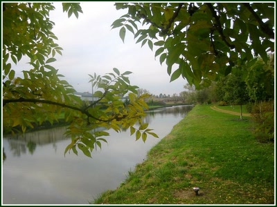 Résultat de recherche: Le long du canal