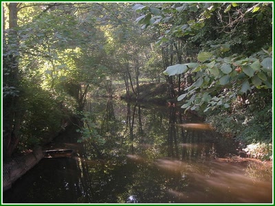 Résultat de recherche: Lueurs sur l'Oise