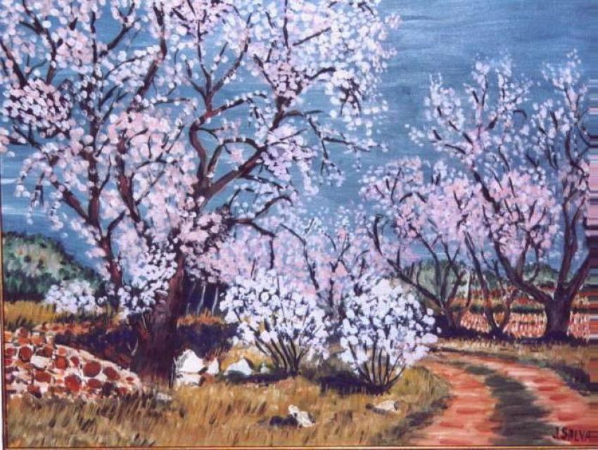 amandiers en fleur  à  Opoul/Périllos