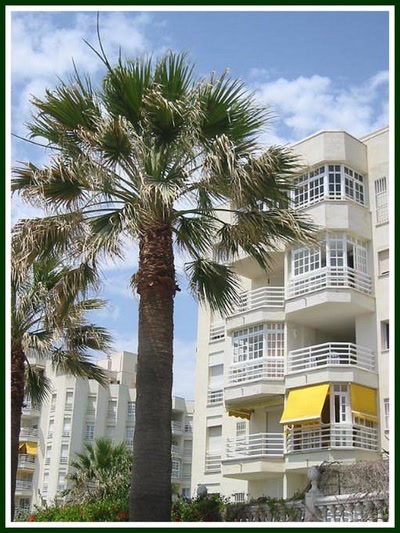 Résultat de recherche: Benalmadena (Andalousie)