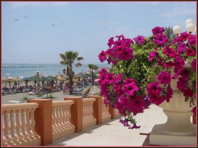 Résultat de recherche: Benalmadena (Andalousie)