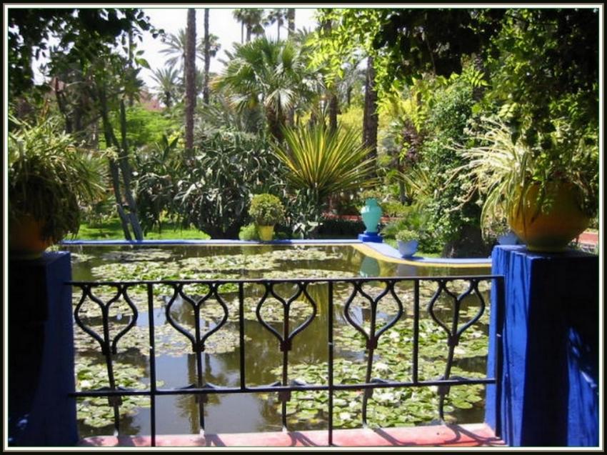 Jardins de Majorelle - Nénuphars