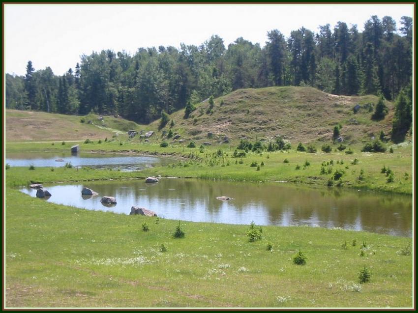 Petits lacs à St-Félicien (Québec)