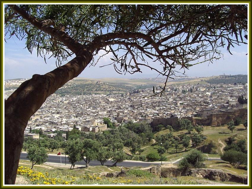 Vue générale de Fés