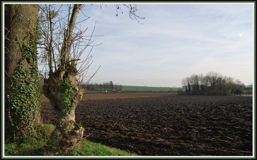 Champ labouré en Picardie